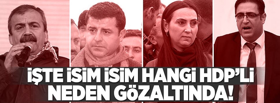 Hangi HDPli neden gözaltına alındı?