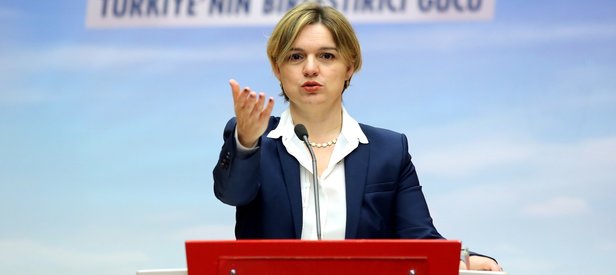 CHPli Böke ABD elçisi ile görüşüp istifa etti
