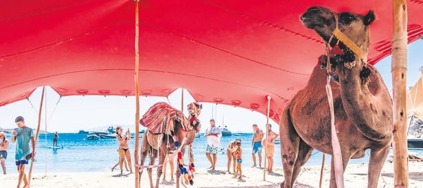Mikonos’ta deve paniği!