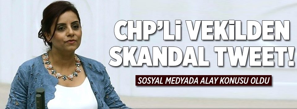 CHPli Selina Doğandan skandal paylaşım