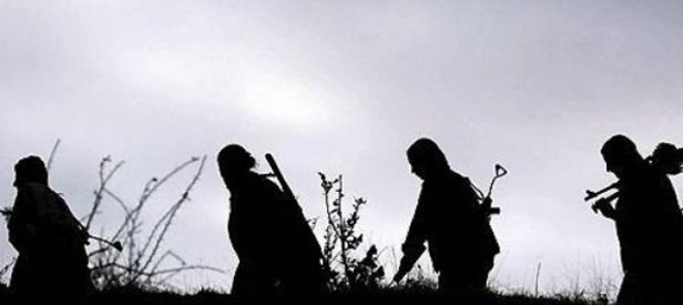 TSK, hainleri tarumar etti: 93 terörist öldürüldü